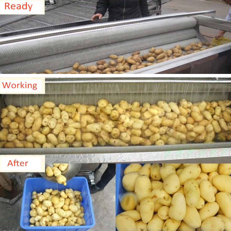 potato peeling brush roller